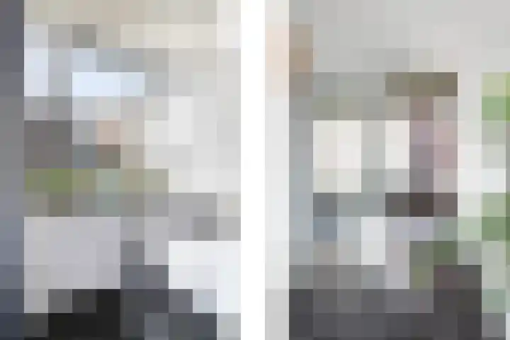 Cantheelen 35 Cuijk thumbnail 9