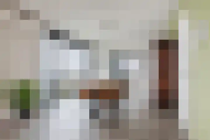 Cantheelen 6 417 Cuijk thumbnail 10