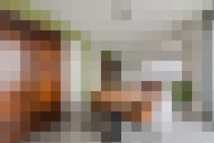 Cantheelen 6 417 Cuijk thumbnail 12