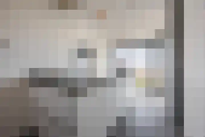 Cantheelen 6 417 Cuijk thumbnail 13