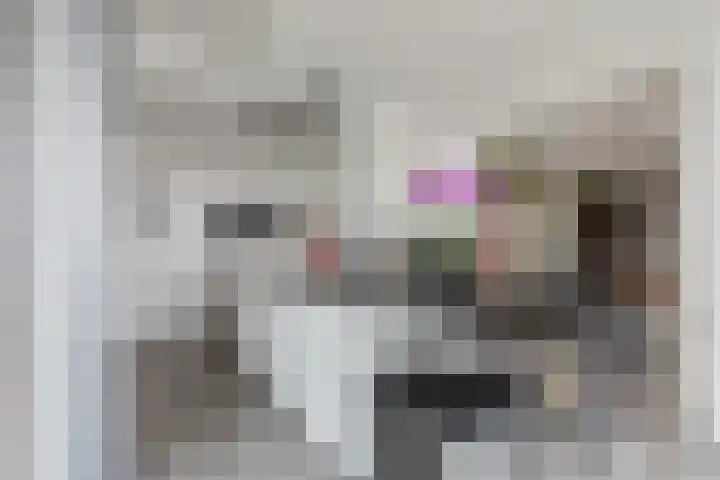 Cantheelen 6 417 Cuijk thumbnail 14