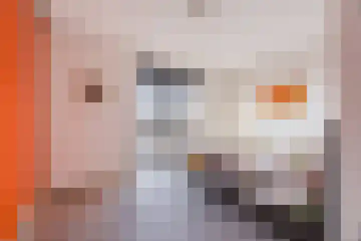 Cantheelen 6 417 Cuijk thumbnail 16