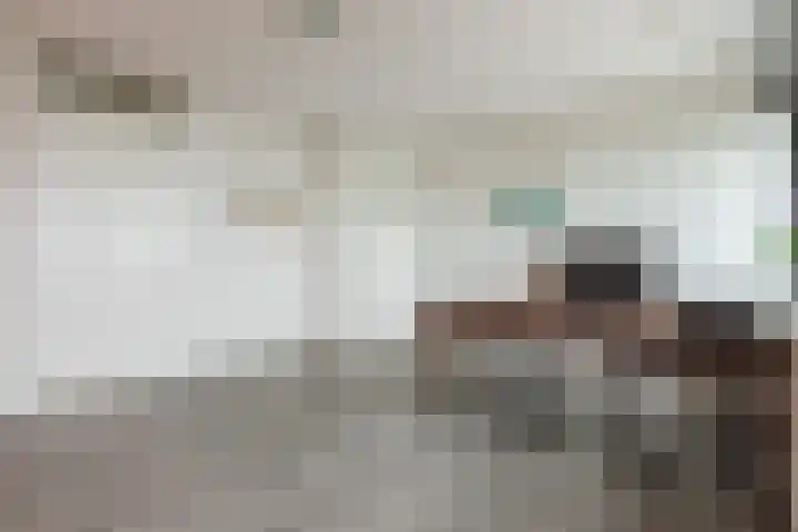 Cantheelen 6 417 Cuijk thumbnail 19