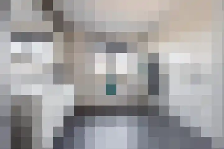 Cantheelen 6 417 Cuijk thumbnail 20