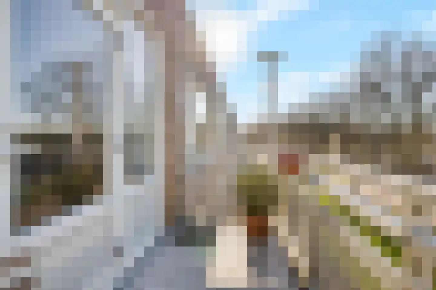 Cantondreef 19 Utrecht thumbnail 21