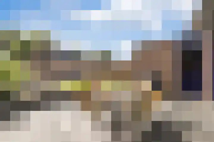 Capella 7 Duiven thumbnail 18