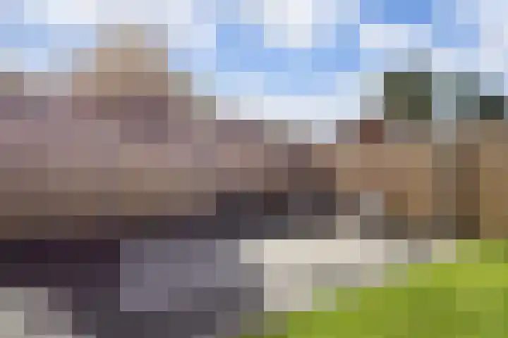 Capella 7 Duiven thumbnail 20