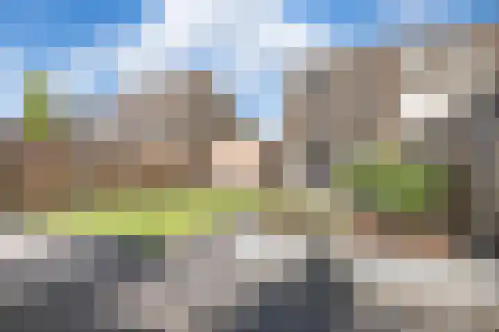 Capella 7 Duiven thumbnail 22