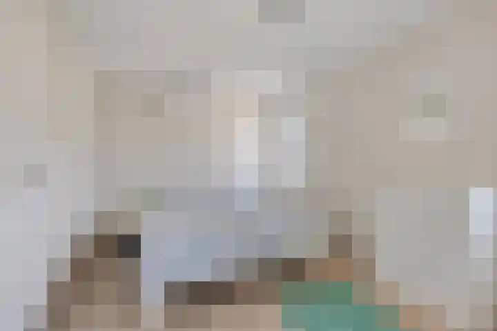 Capella 7 Duiven thumbnail 27