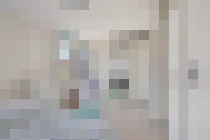 Capella 7 Duiven thumbnail 29