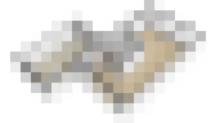 Capella 7 Duiven thumbnail 37