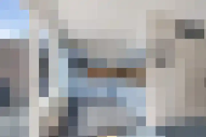 Capella 7 Duiven thumbnail 4