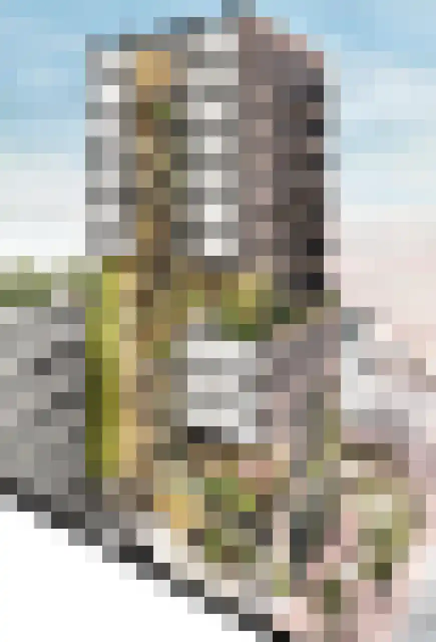 Capellalaan 900 Den Haag thumbnail 11