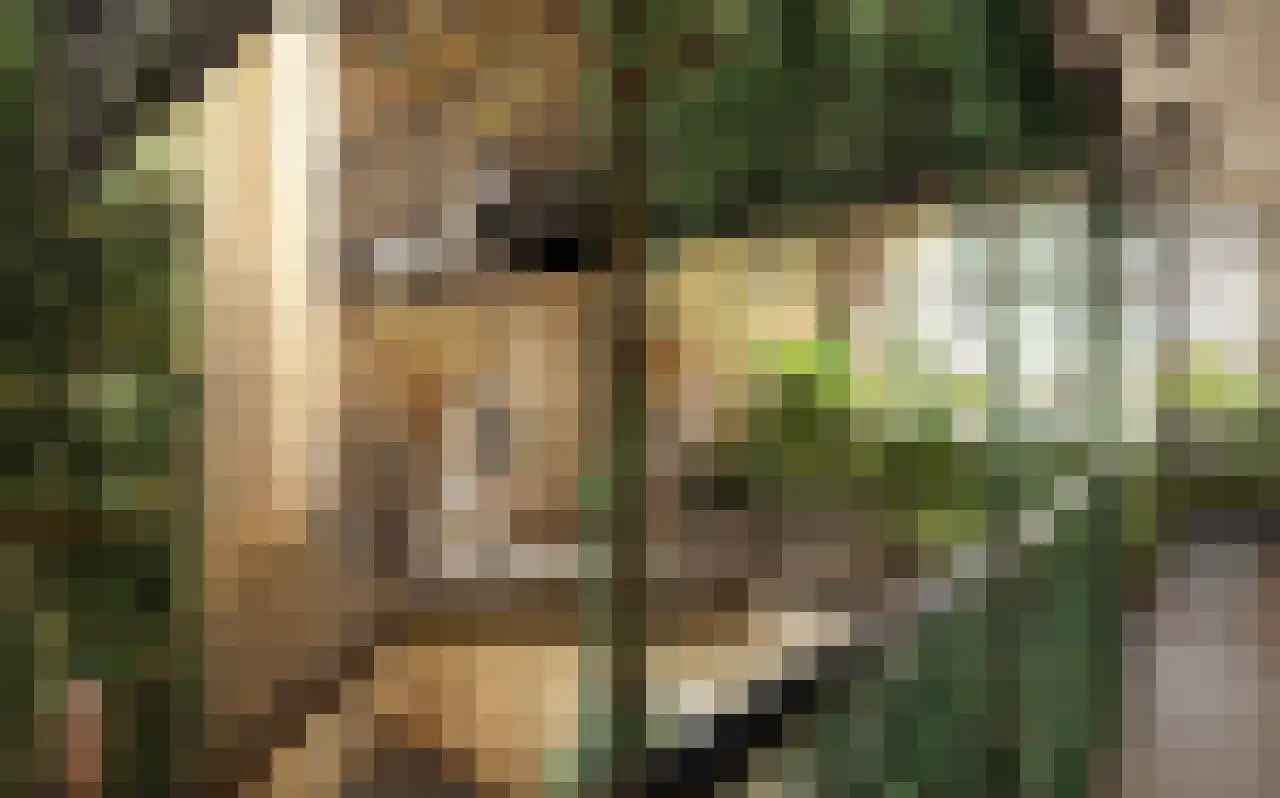 Capellalaan 900 Den Haag thumbnail 6