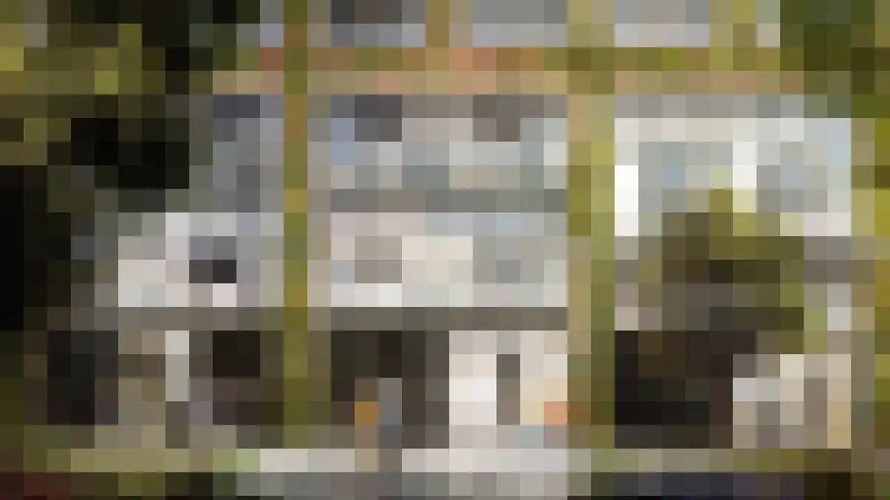 Capellalaan 900 Den Haag thumbnail 7
