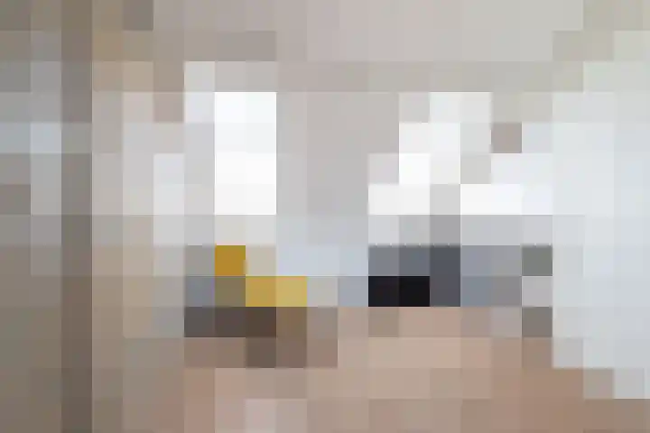 Capellastraat 16 Zuidhorn thumbnail 32
