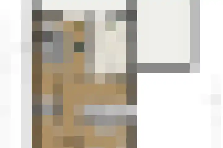 Capellastraat 16 Zuidhorn thumbnail 38