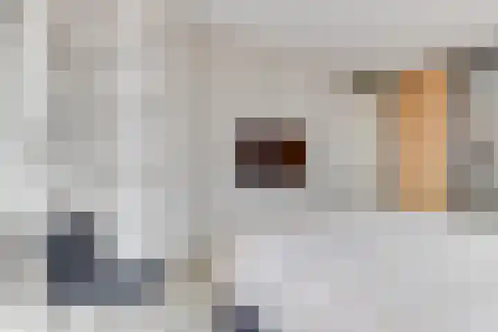Capellehof 200 Spanbroek thumbnail 31