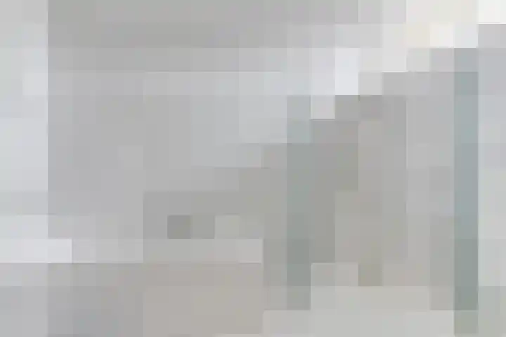 Capellehof 200 Spanbroek thumbnail 33