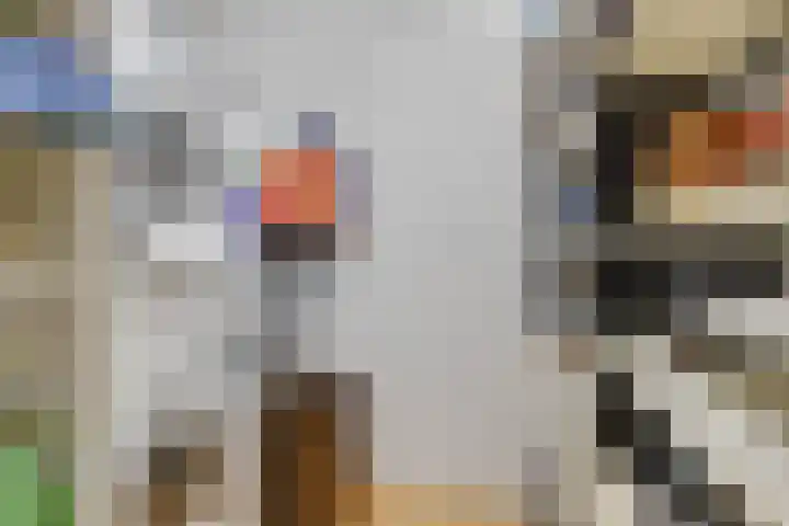 Capellehof 200 Spanbroek thumbnail 38
