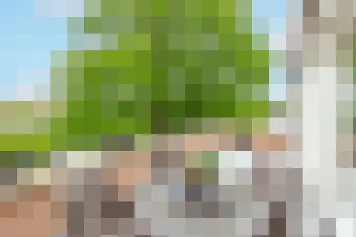 Capellehof 200 Spanbroek thumbnail 41