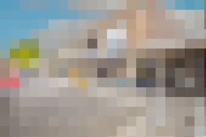 Capellehof 200 Spanbroek thumbnail 47