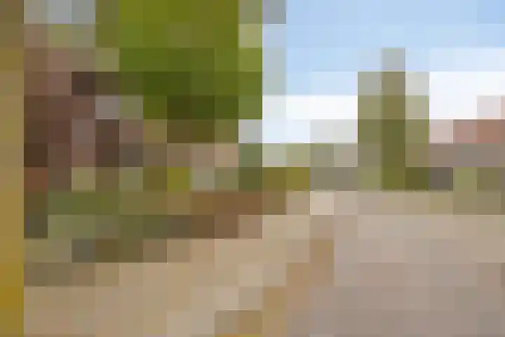 Capelseweg 3 A 's Gravenmoer thumbnail 10