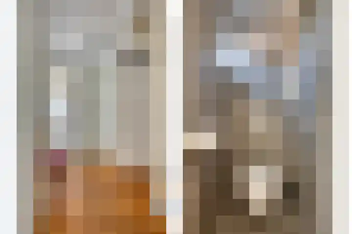 Capelseweg 3 A 's Gravenmoer thumbnail 11