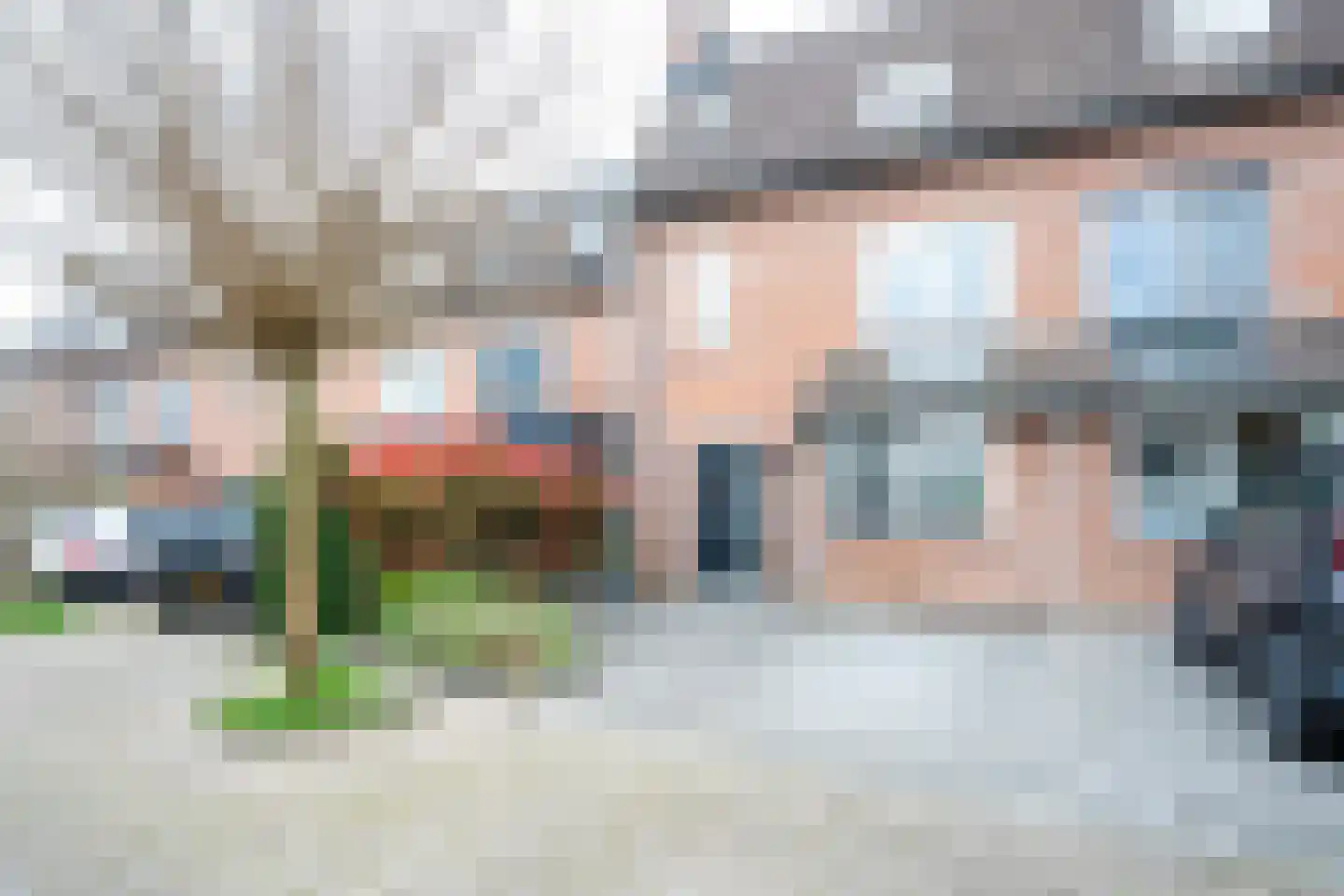 Capelseweg 3 A 's Gravenmoer thumbnail 12