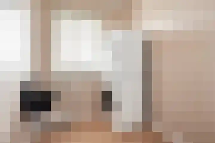 Capelseweg 3 A 's Gravenmoer thumbnail 16