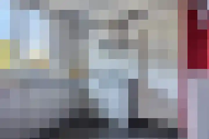 Capelseweg 3 A 's Gravenmoer thumbnail 17