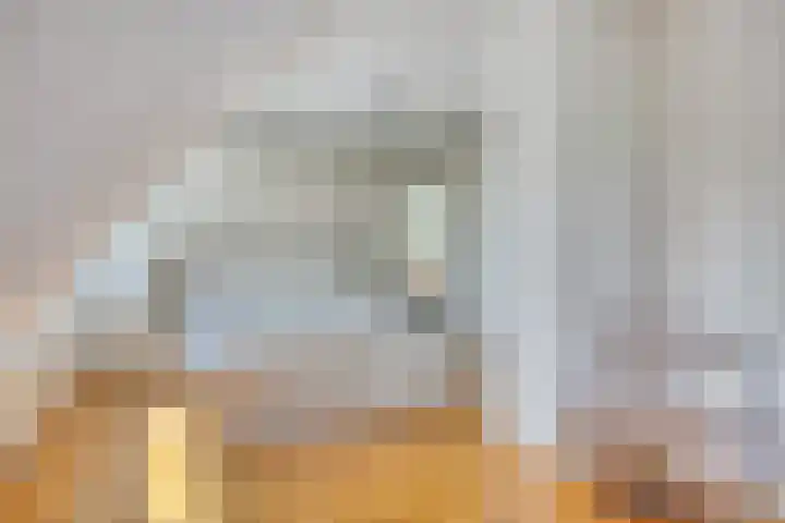 Capelseweg 3 A 's Gravenmoer thumbnail 23