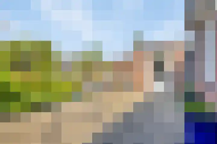 Capelseweg 3 A 's Gravenmoer thumbnail 30