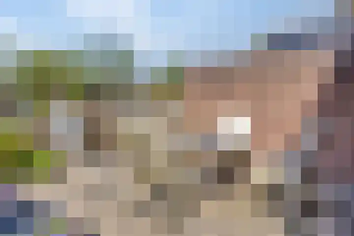 Capelseweg 3 A 's Gravenmoer thumbnail 32