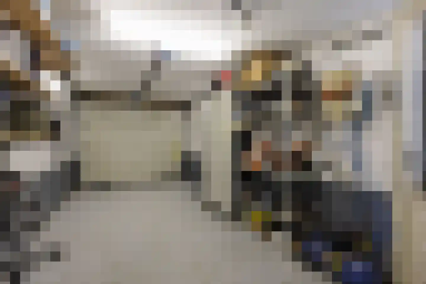 Capelseweg 3 A 's Gravenmoer thumbnail 33