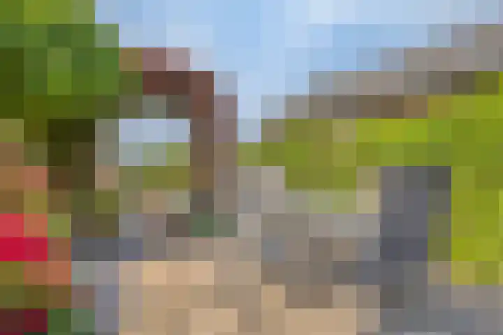Capelseweg 3 A 's Gravenmoer thumbnail 33
