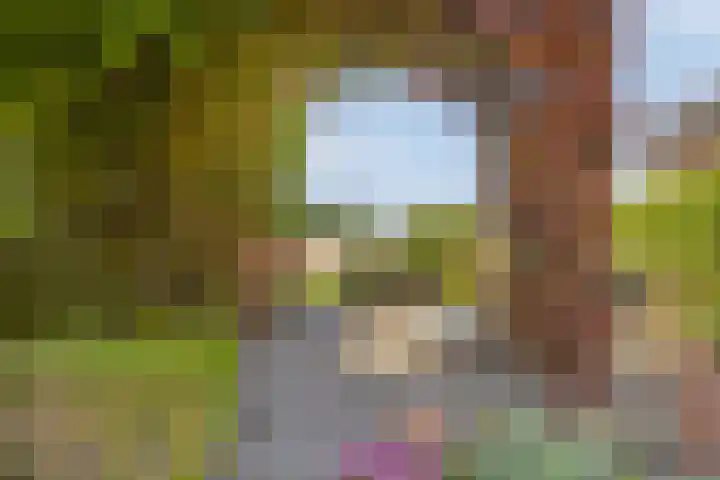 Capelseweg 3 A 's Gravenmoer thumbnail 34