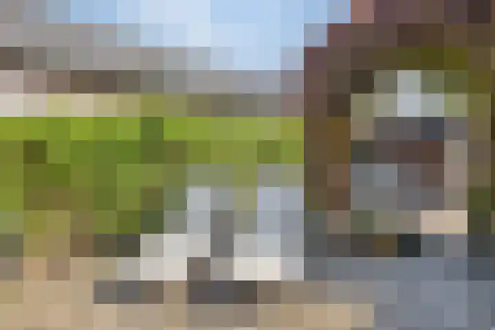 Capelseweg 3 A 's Gravenmoer thumbnail 35
