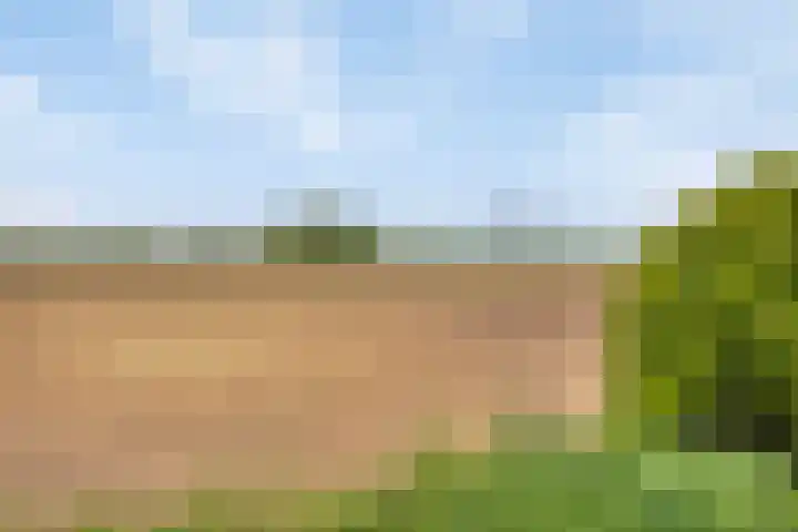 Capelseweg 3 A 's Gravenmoer thumbnail 36
