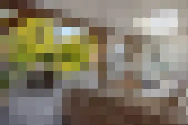 Capelseweg 3 A 's Gravenmoer thumbnail 37