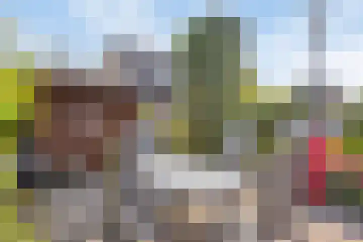 Capelseweg 3 A 's Gravenmoer thumbnail 37