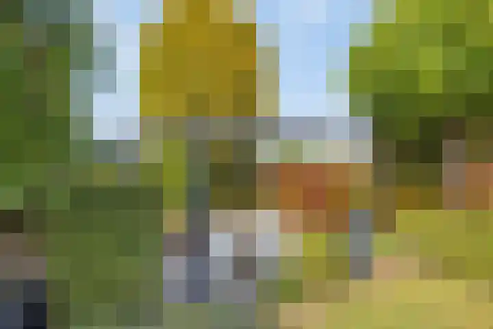 Capelseweg 3 A 's Gravenmoer thumbnail 38