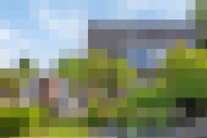 Capelseweg 3 A 's Gravenmoer thumbnail 39