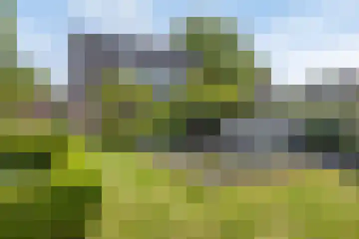 Capelseweg 3 A 's Gravenmoer thumbnail 40