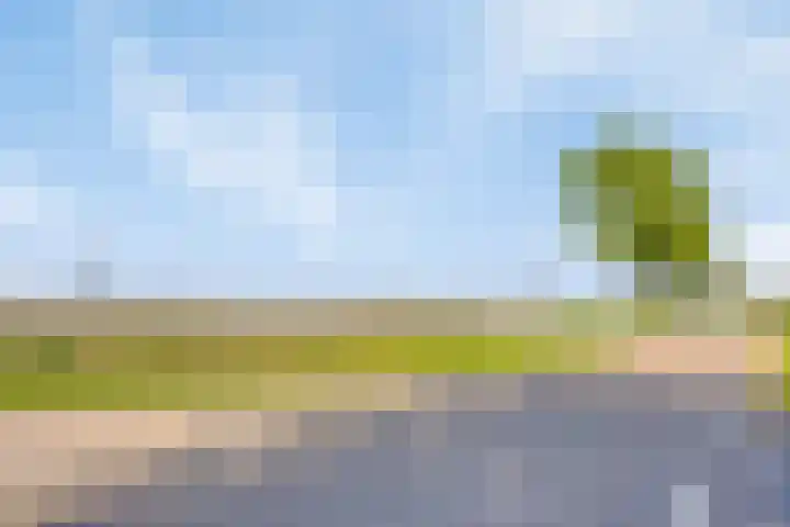 Capelseweg 3 A 's Gravenmoer thumbnail 41