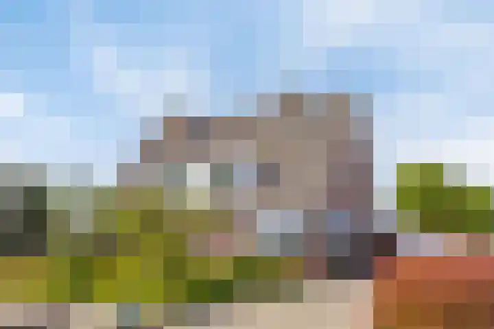Capelseweg 3 A 's Gravenmoer thumbnail 46