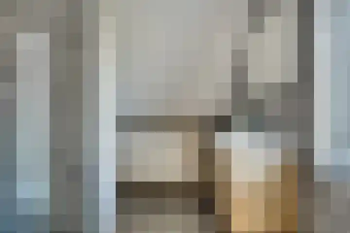 Capelseweg 3 A 's Gravenmoer thumbnail 5