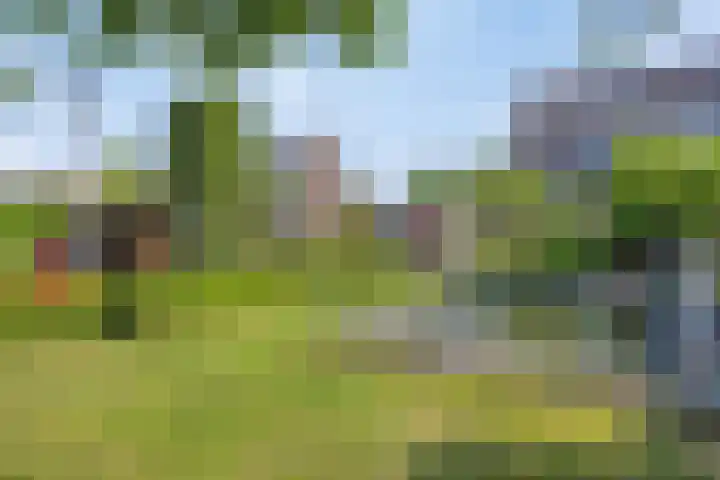 Capelseweg 3 A 's Gravenmoer thumbnail 6