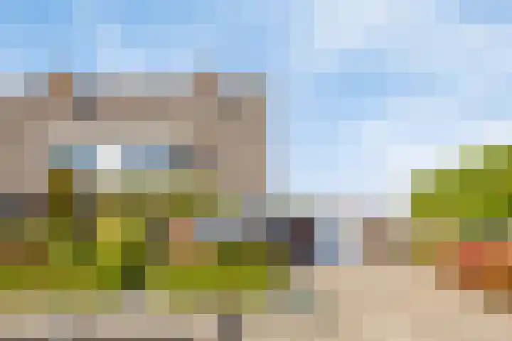 Capelseweg 3 A 's Gravenmoer thumbnail 7