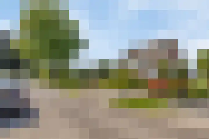 Capelseweg 3 A 's Gravenmoer thumbnail 8